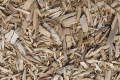 biomass boilers Bosoughan