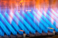 Bosoughan gas fired boilers